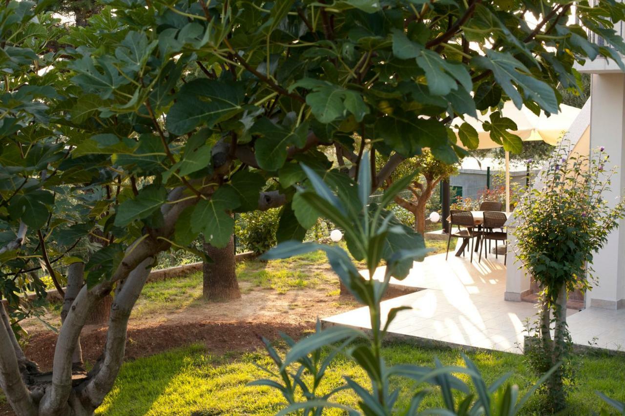 Apartment Robinson Podvrsje 외부 사진