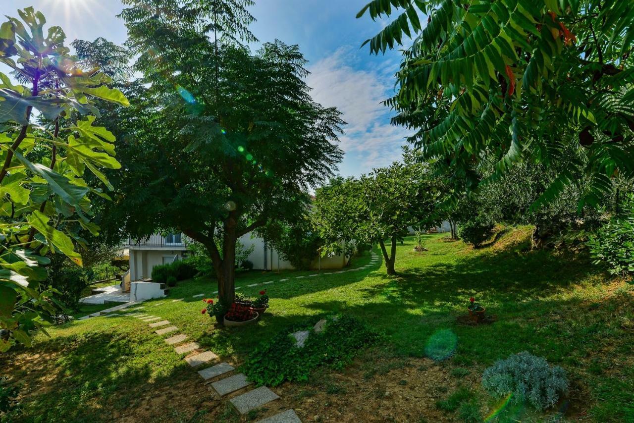 Apartment Robinson Podvrsje 외부 사진
